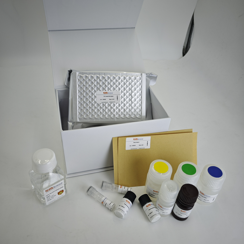 InVivoMAb 抗Human thrombin 抗体 (ABV0261)（一抗）