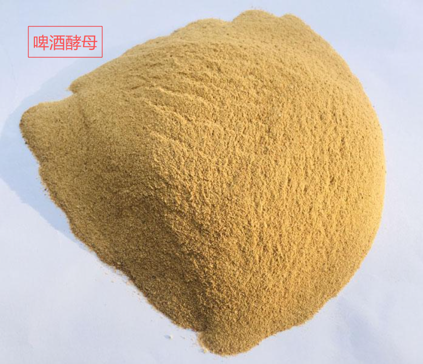   啤酒酵母 68876-77-7 酒厂酿造啤酒饮料酒 
