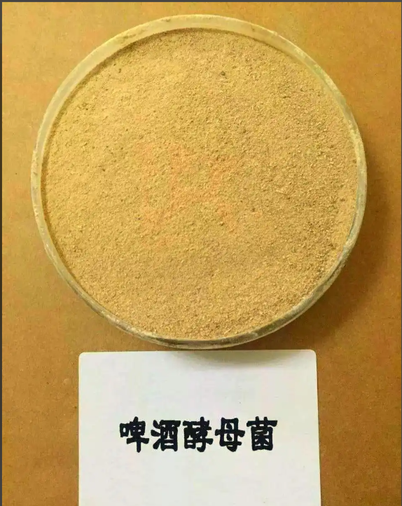   啤酒酵母 68876-77-7 酒厂酿造啤酒饮料酒 