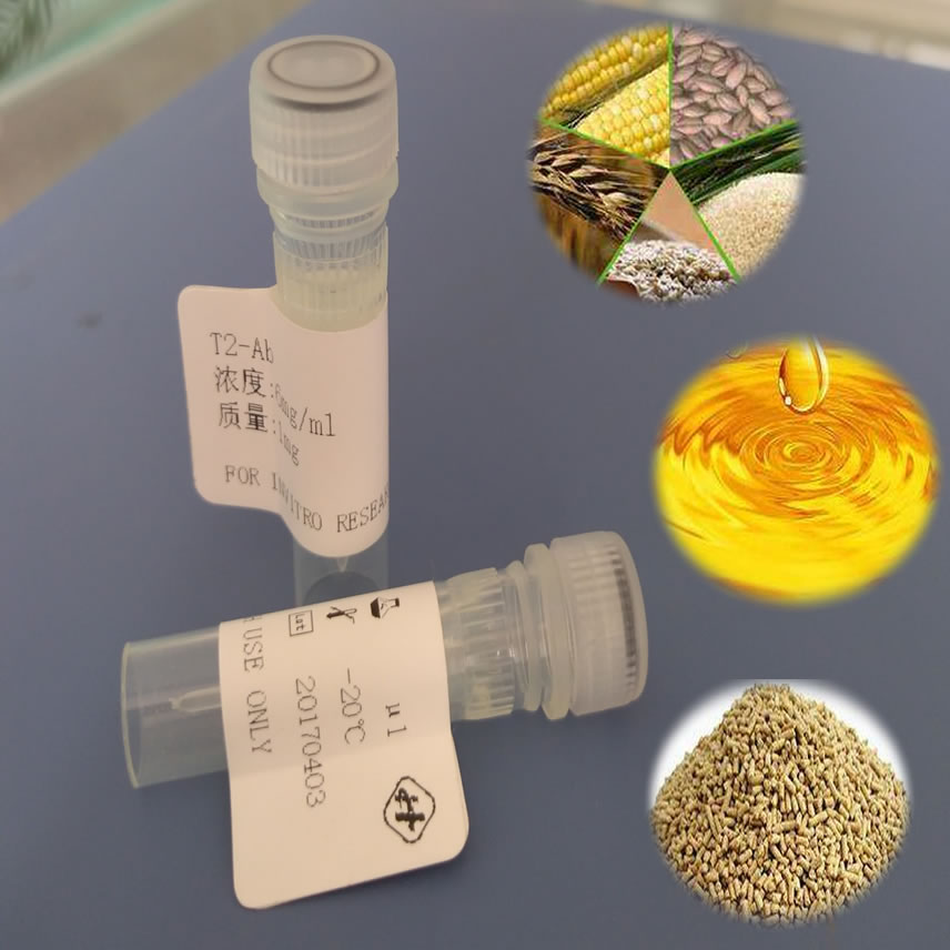 鼠抗喹诺酮类单克隆抗体