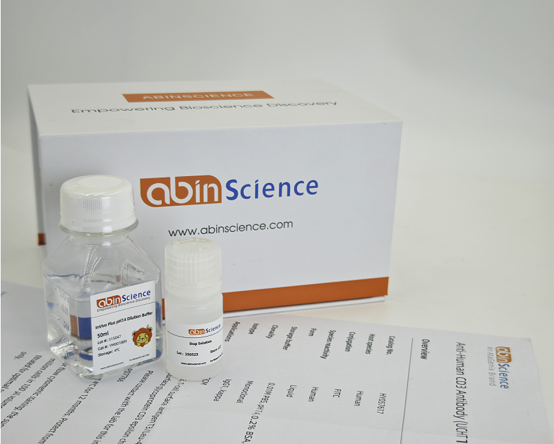 Anti-DNA/RNA G-quadruplex Structures  Antibody (BG4)