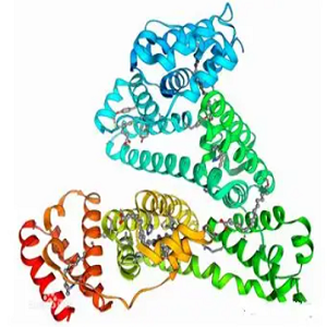 Conjugated Cotinine-BSA，可替宁-牛血清蛋白共轭物