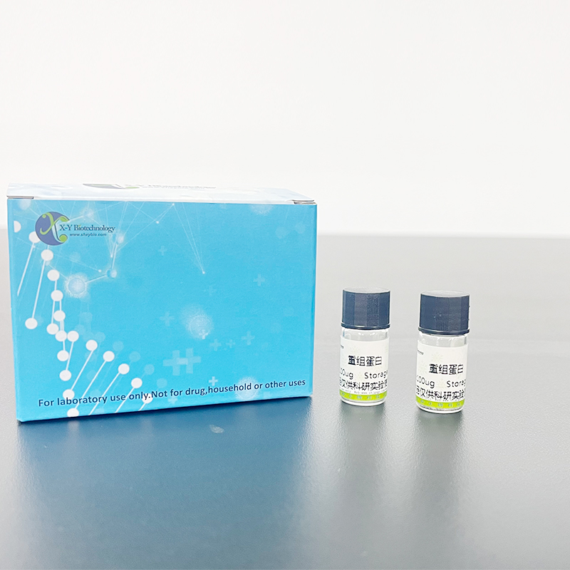 Recombinant 11-Beta-Hydroxysteroid Dehydrogenase Type 1 (HSD11b1)