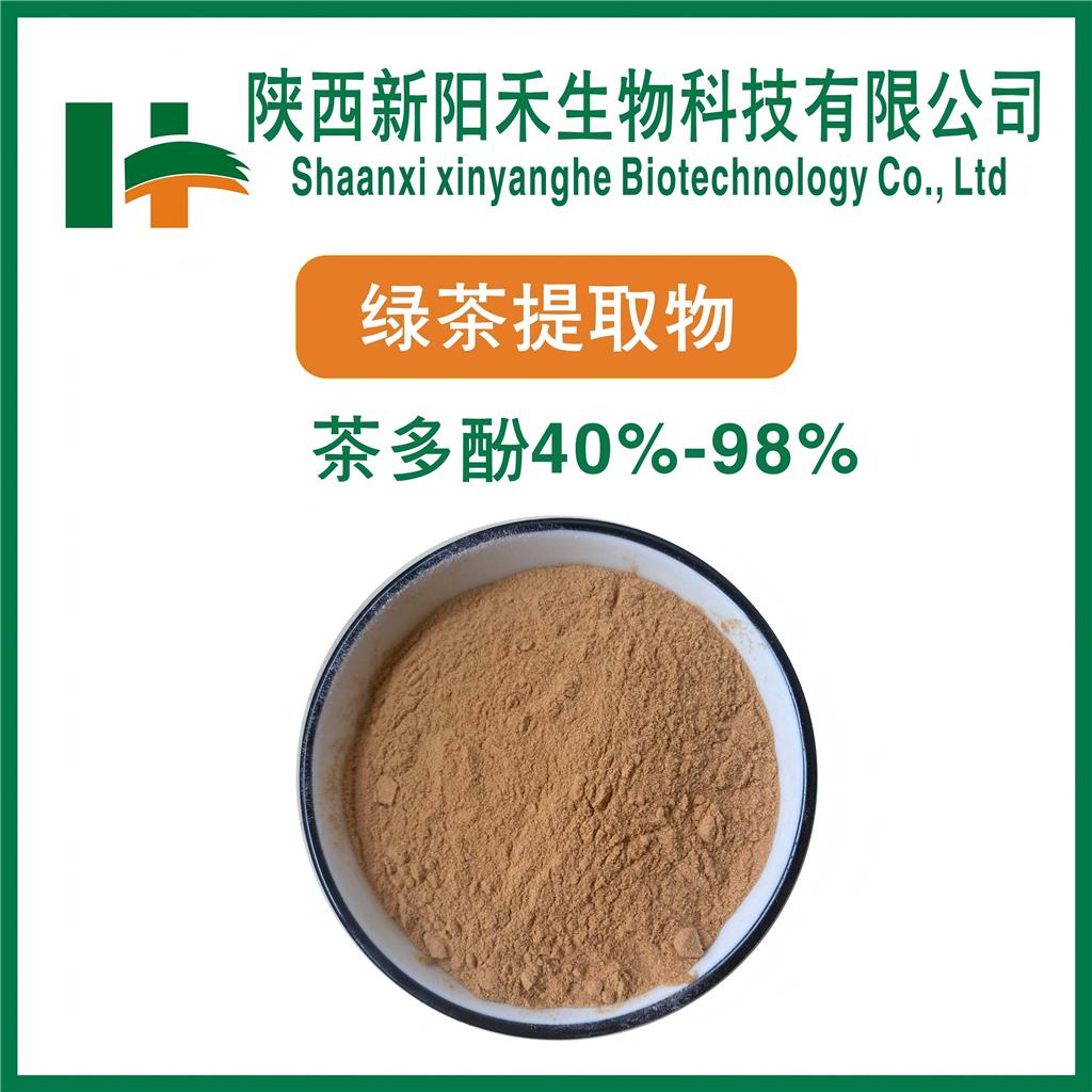 绿茶提取物     茶多酚