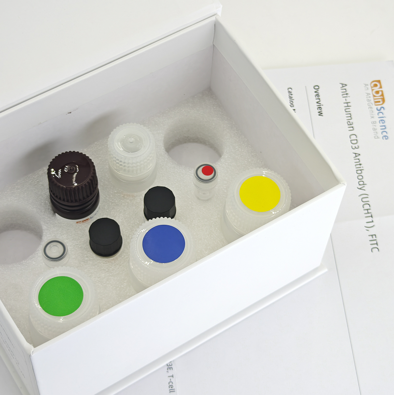 抗HCV gp32/gp35/Envelope glycoprotein E1 抗体 (IGH526)（一抗）