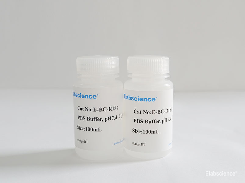 Elabscience 5× SDS上样缓冲液-E-BC-R288