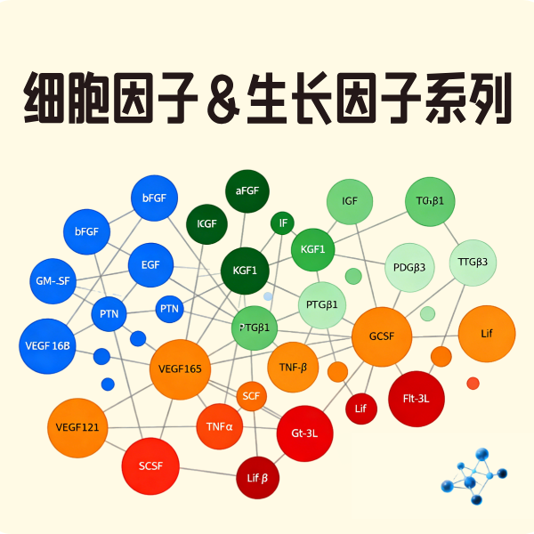 细胞因子&生长因子系列