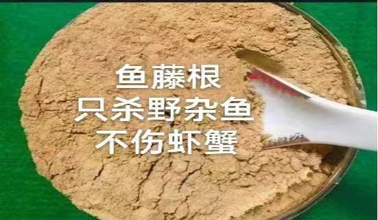 鱼藤粉,鱼藤根粉,含量7%鱼藤酮,清除杂鱼,水产养殖清塘,杀灭浮游生物害虫,天然杀虫剂