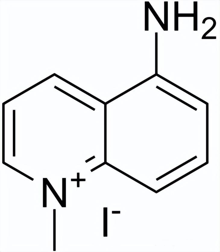 5-氨基-1-甲基喹啉-1-鎓碘化物，5-amino-1mq，NNMTi，42464-96-0