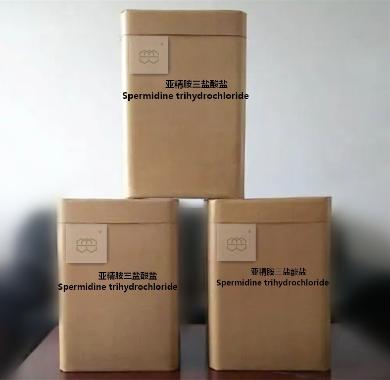 亚精胺三盐酸盐