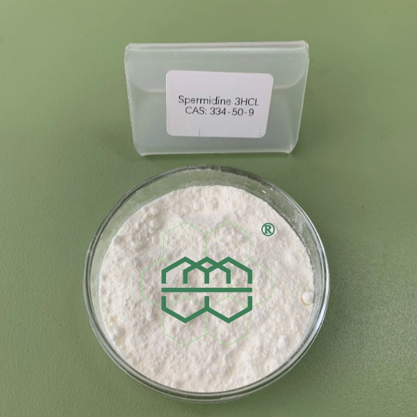 亚精胺三盐酸盐