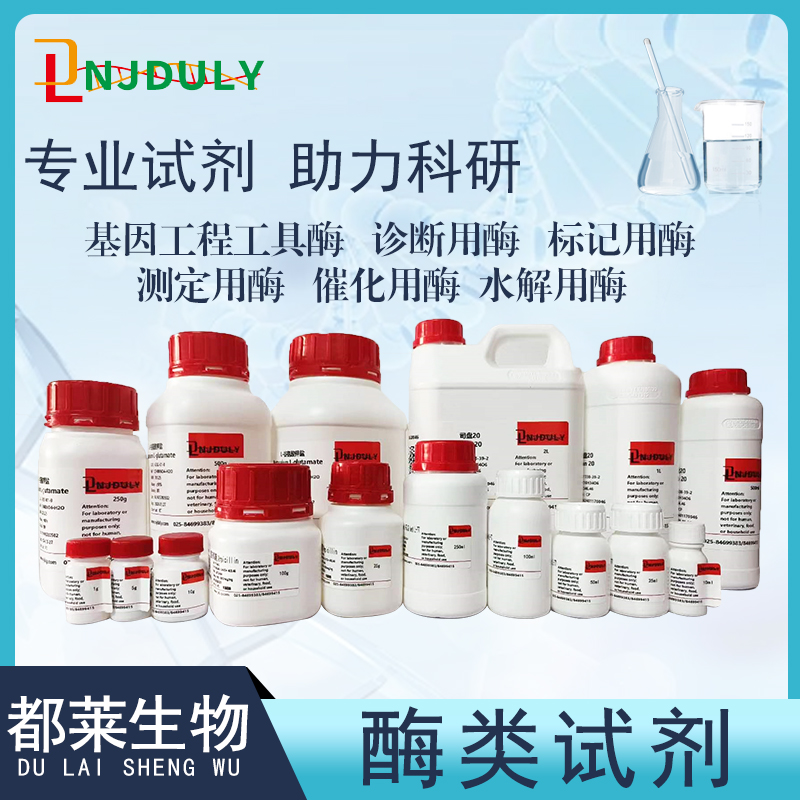 肌黄酶来源于梭状芽孢杆菌/Diaphorase from Clostridium kluyveri