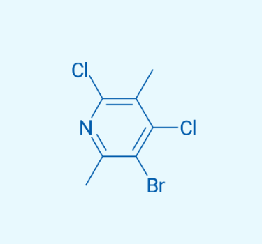 3-溴-4,6-二氯-2,5-二甲基吡啶  1256254-36-0