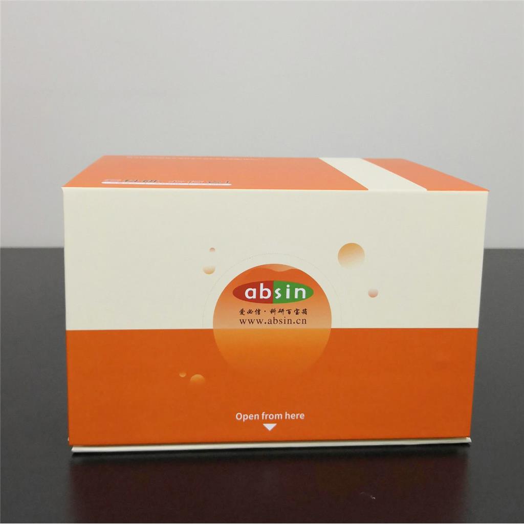 小鼠 IL-2 ELISA 试剂盒