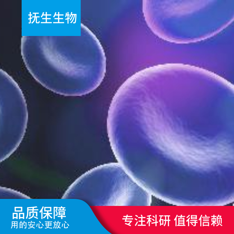 HCE-T人角膜上皮细胞；HCE-T