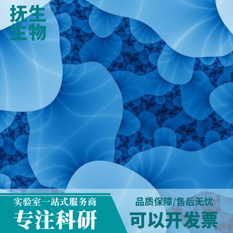 HuTu 80人十二指肠腺癌细胞