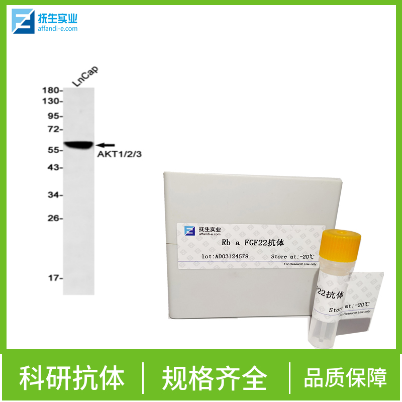 鸡新城疫融合糖蛋白F1