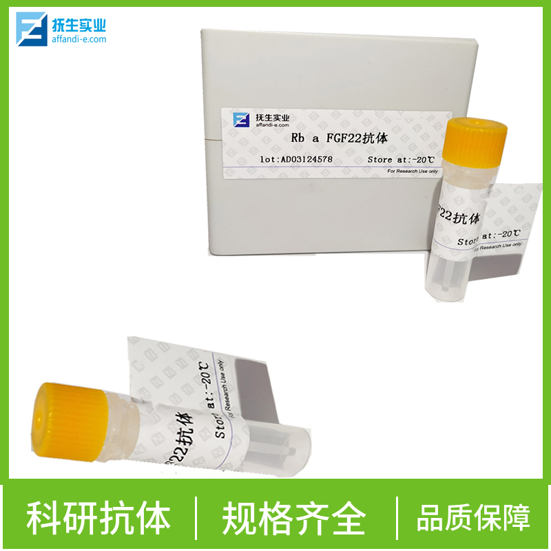 超氧化物歧化酶2抗体