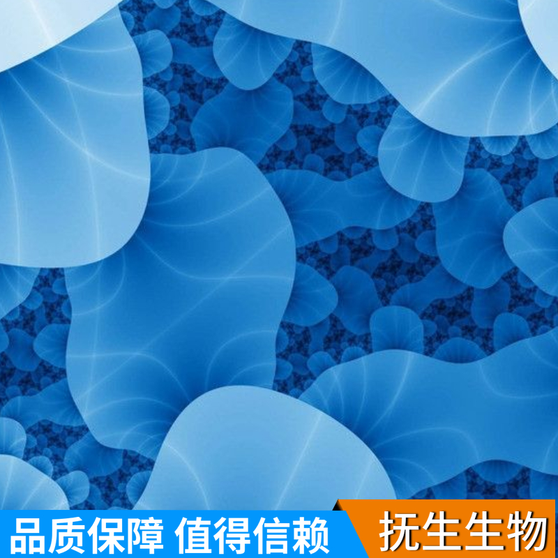 人骨髓基质细胞；HS-5 (STR)