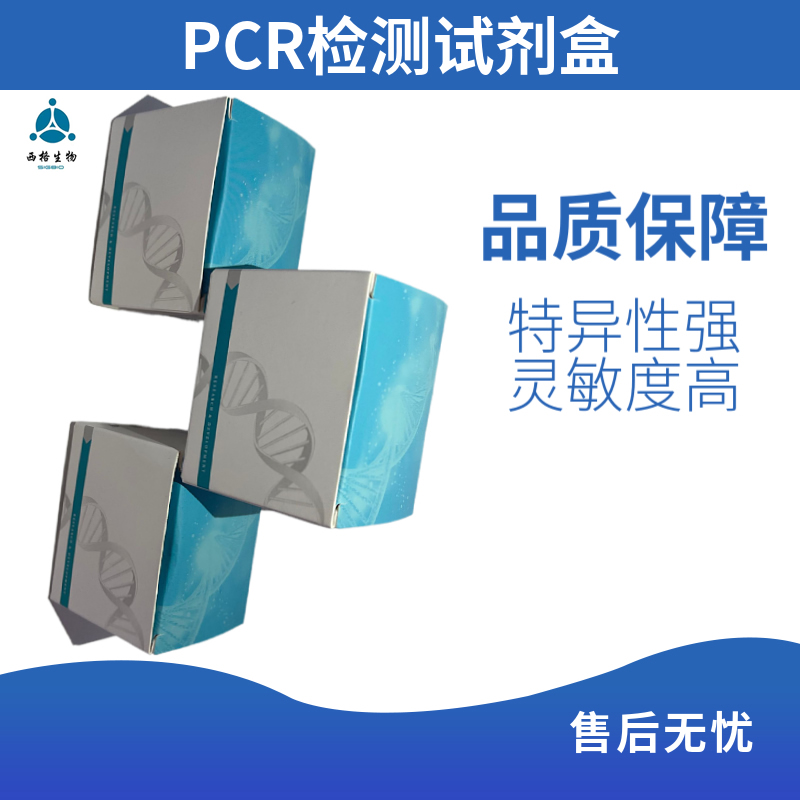 非洲猪瘟病毒（ASFV）检测试剂盒（PCR-荧光探针法）