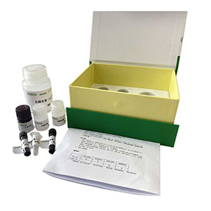 β-羟丁酸/β-羟基丁酸含量测定试剂盒(WST-8法显色)分光法/24样