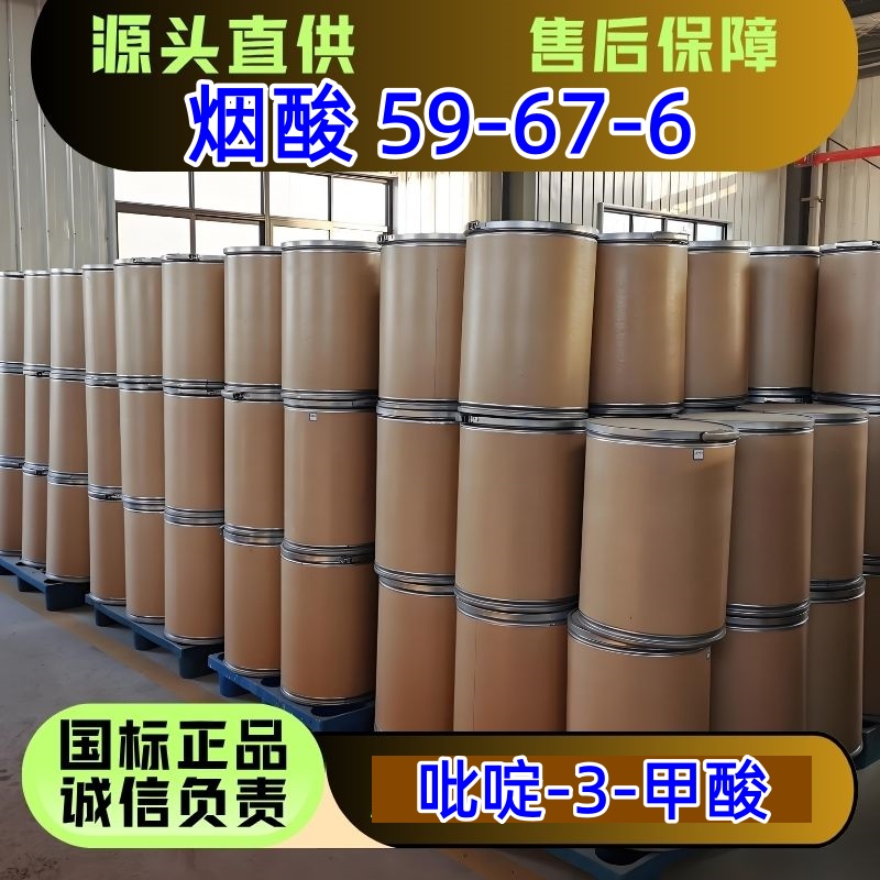 烟酸 吡啶-3-甲酸 59-67-6 食品级 医药级 饲料级 优级品