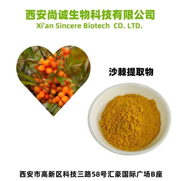沙棘提取物 沙棘粉