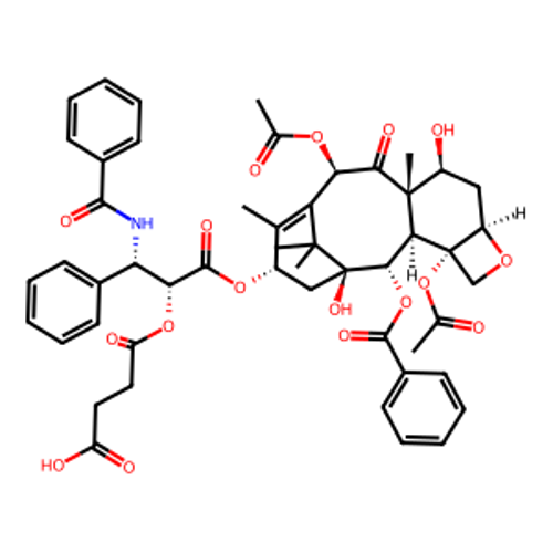 Paclitaxel Succinate