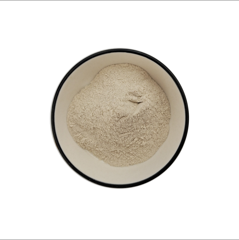 洋车前子壳粉   圆苞车前子壳