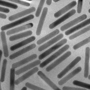 Gold Nanorods，金纳米棒