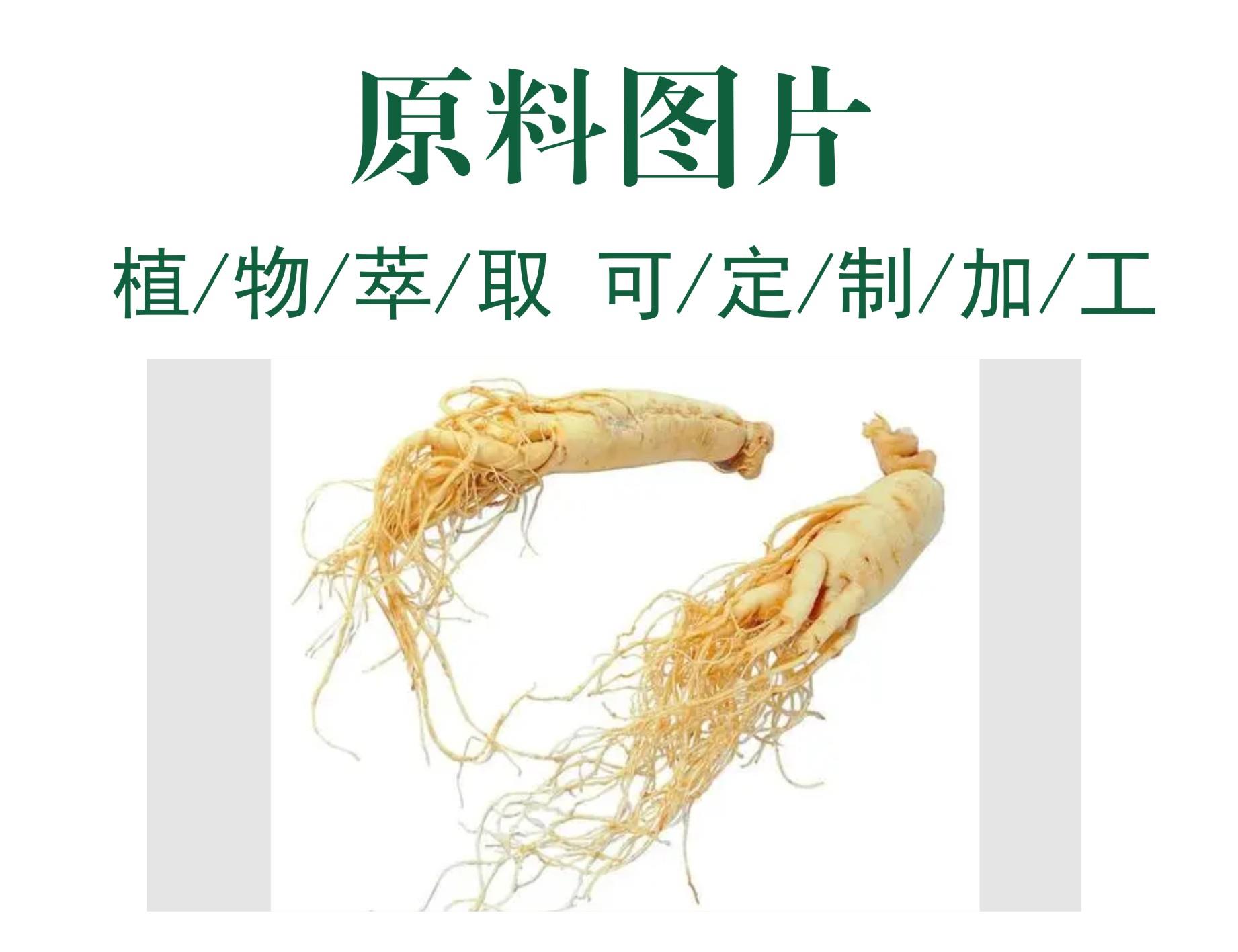 人参-.jpg 人参-.jpg