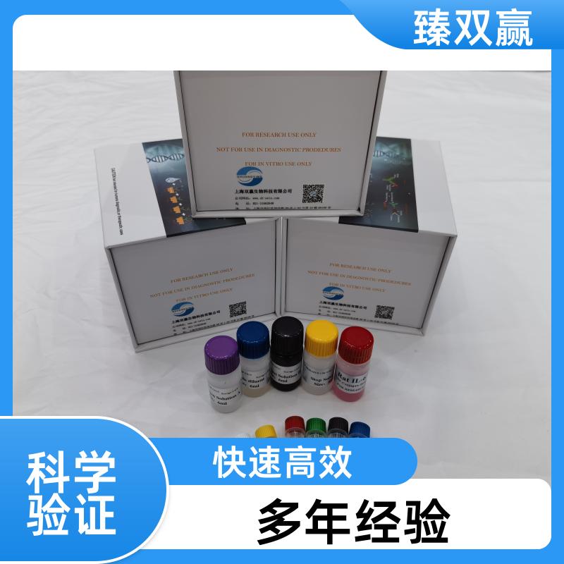 人白细胞介素10(IL-10)ELISA试剂盒说明书