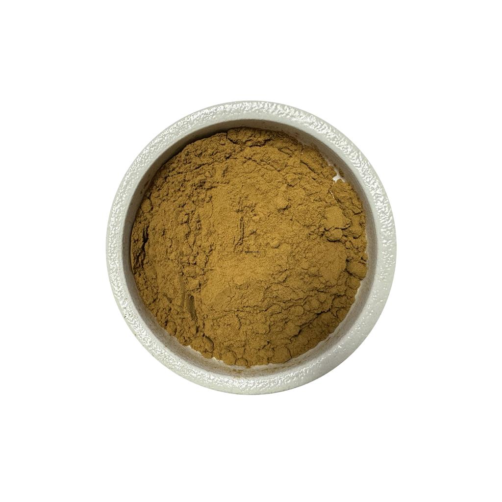 灵芝提取物  灵芝多糖    灵芝三萜