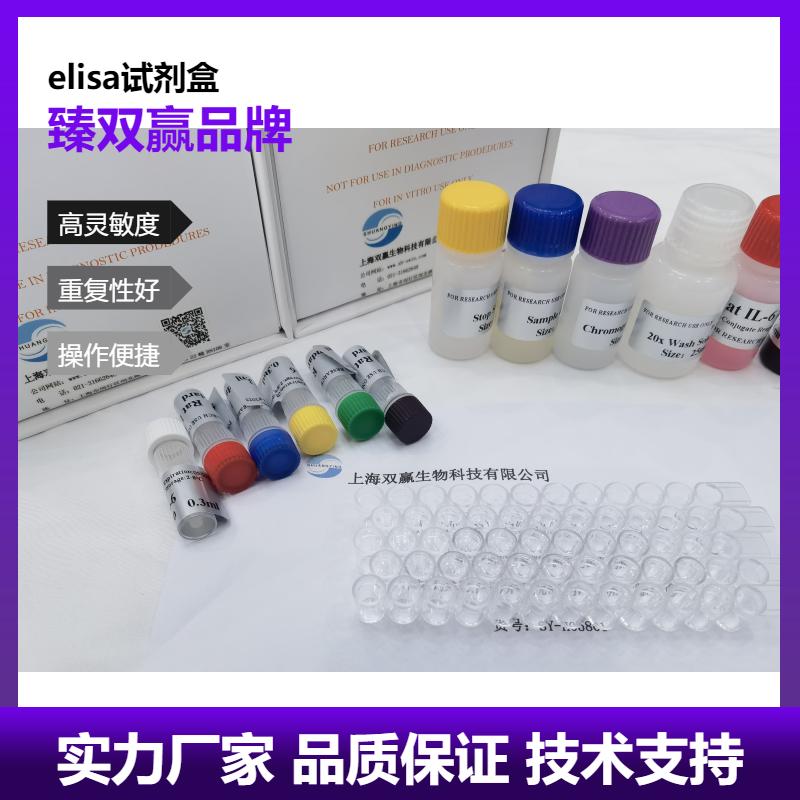 人胎盘生长因子(PLGF)ELISA试剂盒