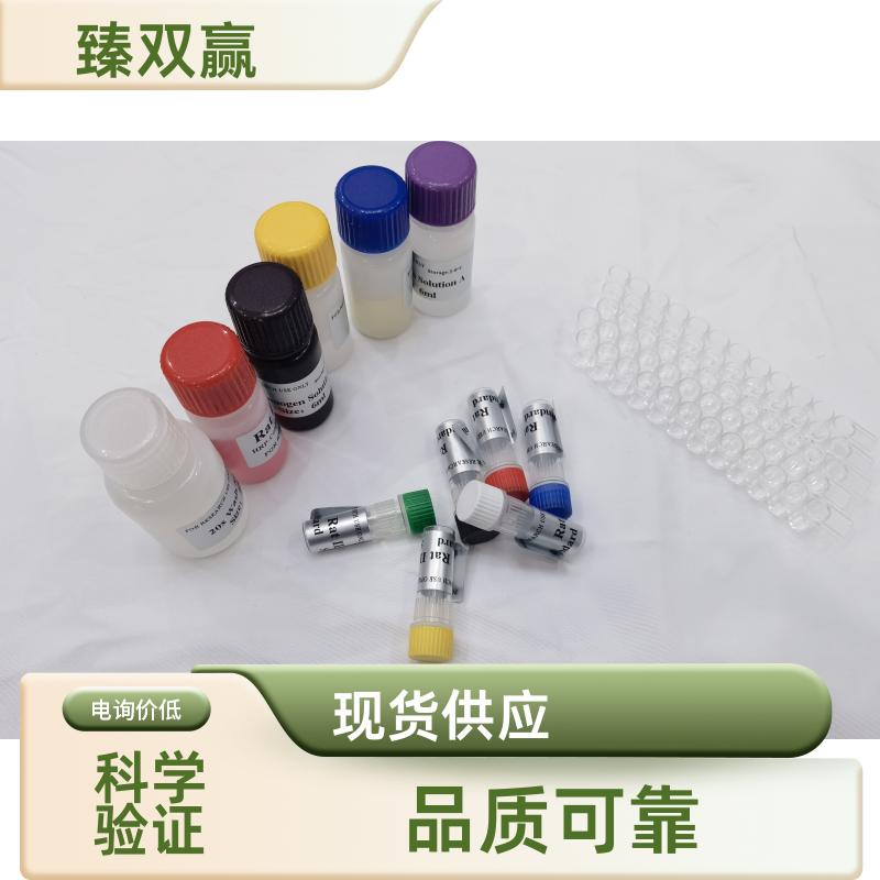 人组织内转化生长因子β结合蛋白2(LTBP2)ELISA试剂盒