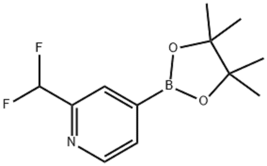 2-(二氟甲基)-4-(4,4,5,5-四甲基-1,3,2-二氧硼烷-2-基)吡啶