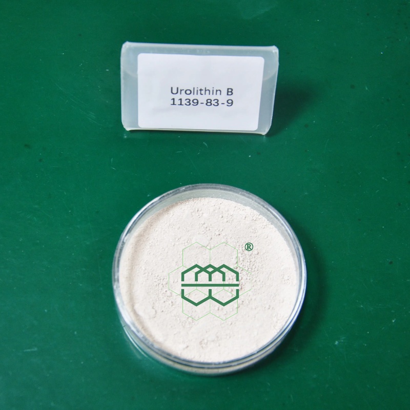 高纯度膳食补充尿石素B粉末