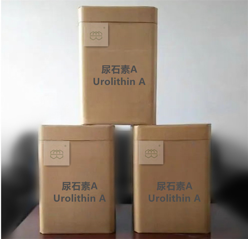 高纯度膳食补充尿石素A粉末