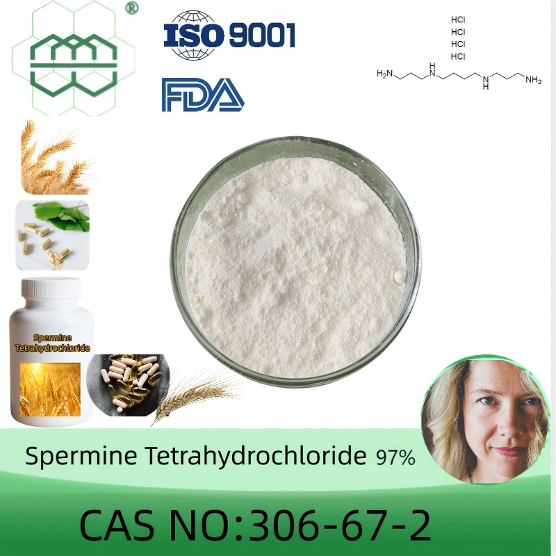 精胺四盐酸盐