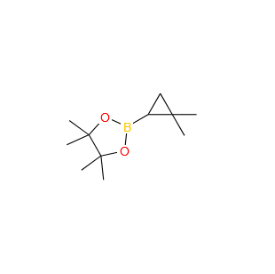 2,2-二甲基环丙基硼酸频哪醇酯  2,2-Dimethylcyclopropylboronic Acid Pinacol Ester 136835-34-2 