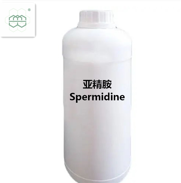 Spermidine