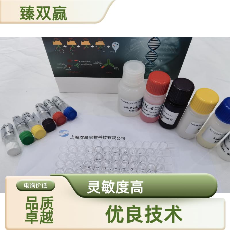 人载脂蛋白E4(ApoE4)ELISA试剂盒