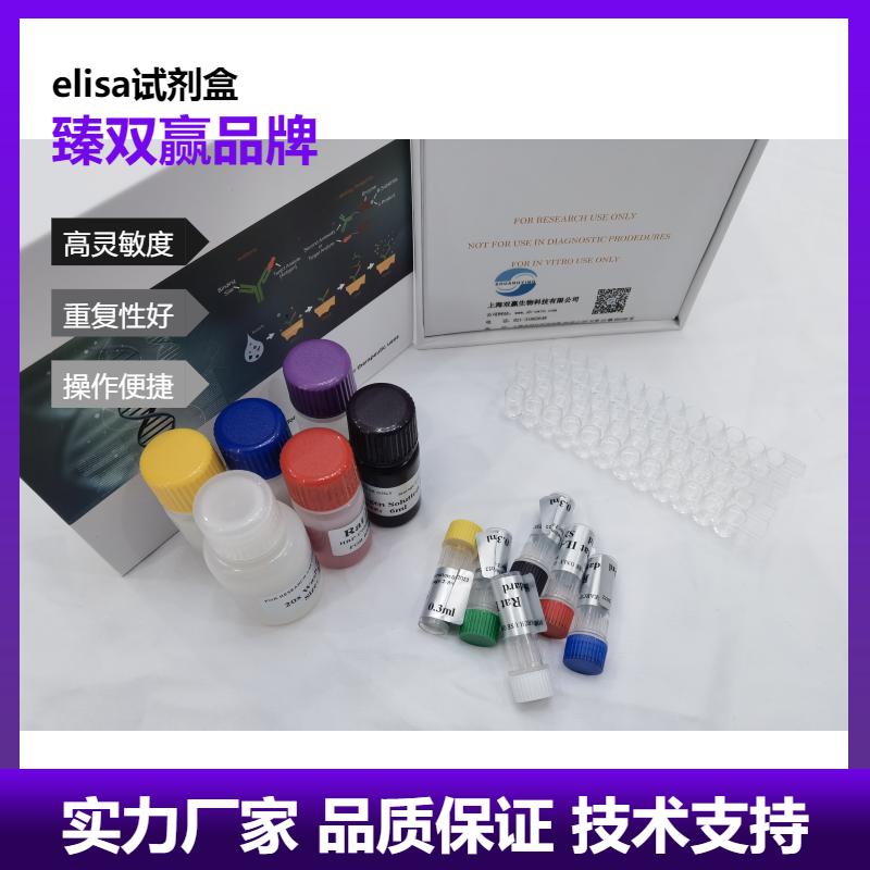 人载脂蛋白E4(ApoE4)ELISA试剂盒