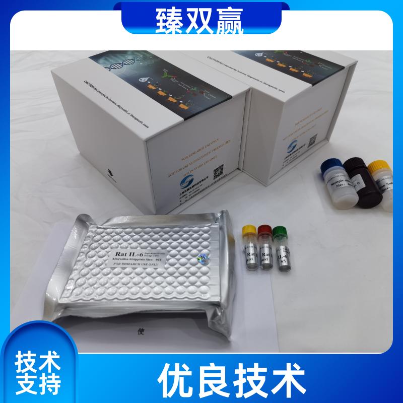 人可溶性血管紧张素转化酶(s-ACE)ELISA试剂盒