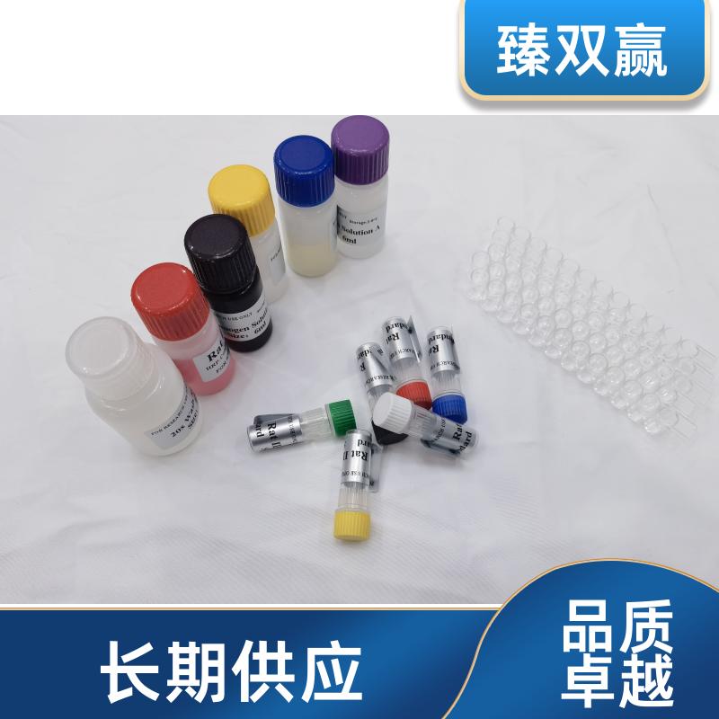 人白细胞介素2受体(IL-2R)ELISA试剂盒
