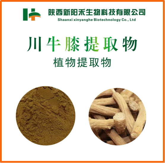 川牛膝提取物