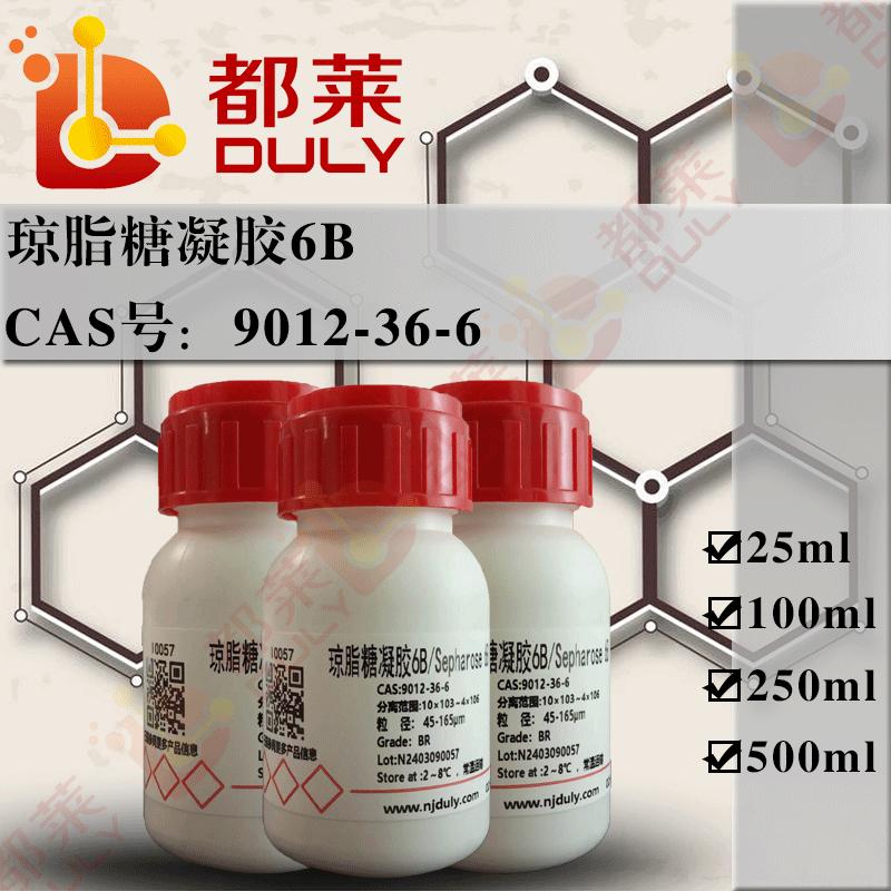 琼脂糖凝胶6B/Sepharose 6B