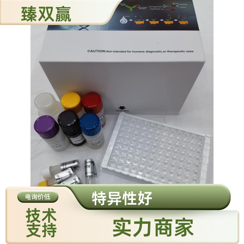 人脱嘌呤脱嘧啶核酸内切酶1(APE1)ELISA试剂盒