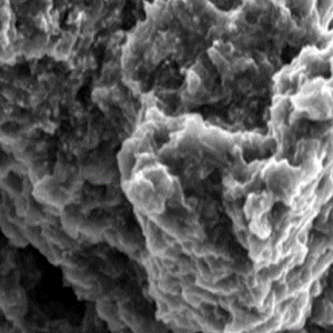 Ag-rGO，还原氧化石墨烯负载银纳米颗粒