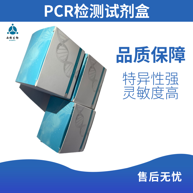 传染性胰脏坏死病病毒（IPNV）RNA检测试剂盒（PCR-荧光探针法）
